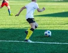 范可新等杰,出人才喜获,殊荣,pa真人娱乐官方网站,视频直播,免费试玩,PlayAce